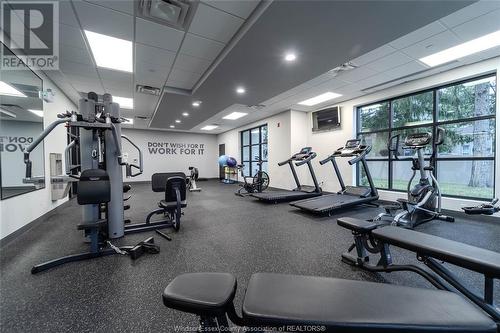 3817 Howard Unit# 102, Windsor, ON - Indoor Photo Showing Gym Room