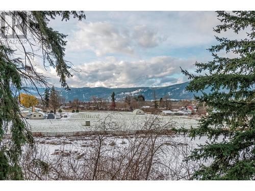 1618 Simons Road, Spallumcheen, BC - Outdoor With View