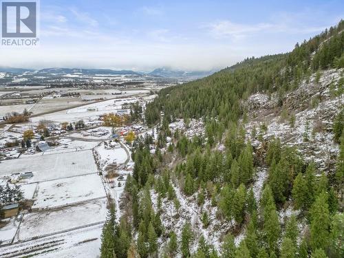 1618 Simons Road, Spallumcheen, BC - Outdoor With View