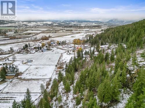 1618 Simons Road, Spallumcheen, BC - Outdoor With View