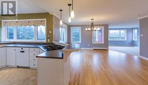 29 Red Cliff Road, Logy Bay Middle Cove Outer Cove, NL - Indoor Photo Showing Kitchen