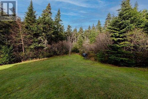 29 Red Cliff Road, Logy Bay Middle Cove Outer Cove, NL - Outdoor With View