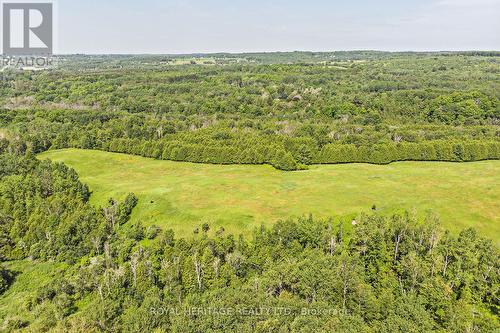 2950 9Th Concession Road, Pickering, ON 