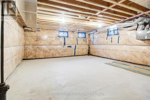 183 Wilmot Road, Brantford, ON - Indoor Photo Showing Basement