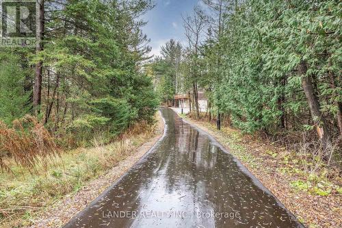 19661 Kennedy Road, East Gwillimbury, ON - Outdoor With View