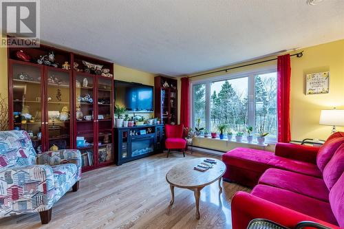 5 Croucher Place, Mount Pearl, NL - Indoor Photo Showing Living Room