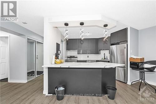 201 - 1025 Grenon Avenue, Ottawa, ON - Indoor Photo Showing Kitchen With Stainless Steel Kitchen With Upgraded Kitchen