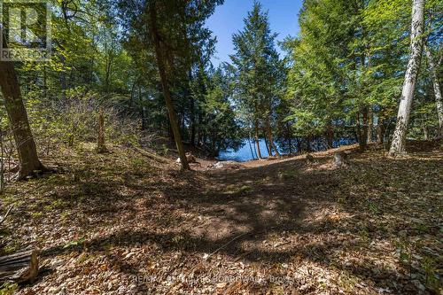 3 Sand Island, Rideau Lakes (819 - Rideau Lakes (South Burgess) Twp), ON 