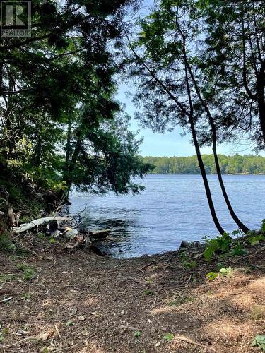 3 Sand Island, Rideau Lakes (819 - Rideau Lakes (South Burgess) Twp), ON 