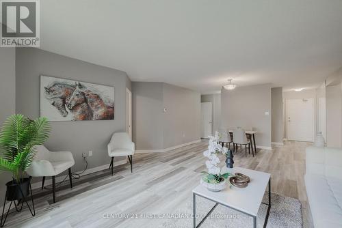 206 - 549 Ridout Street, London, ON - Indoor Photo Showing Living Room