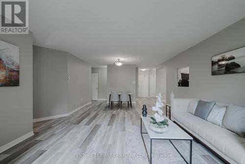 206 - 549 Ridout Street, London, ON - Indoor Photo Showing Living Room