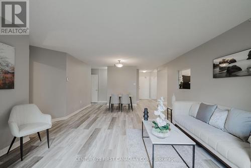 206 - 549 Ridout Street, London, ON - Indoor Photo Showing Living Room