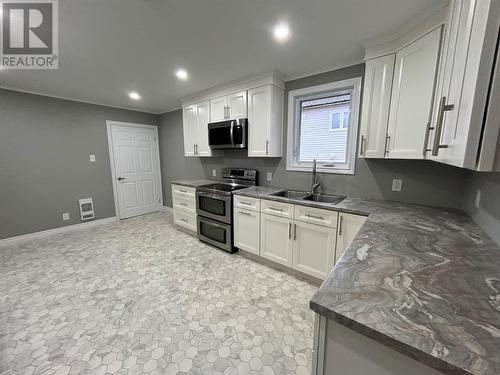 7 Carty Place, Corner Brook, NL - Indoor Photo Showing Kitchen With Double Sink