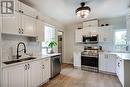 44 Steven Street, Hamilton, ON  - Indoor Photo Showing Kitchen With Double Sink With Upgraded Kitchen 