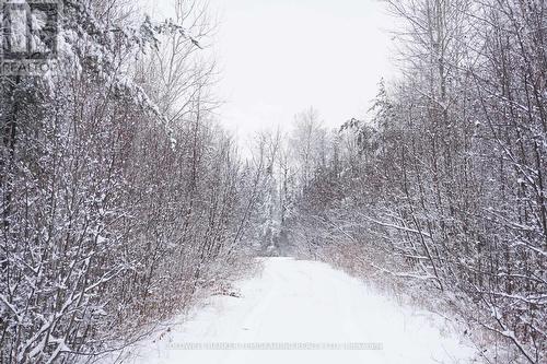 Lt10 C1 Highway 560, Timiskaming Remote Area (Tim - Outside - Rural), ON 