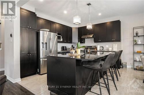 217 Cranesbill Road, Ottawa, ON - Indoor Photo Showing Kitchen With Stainless Steel Kitchen With Upgraded Kitchen