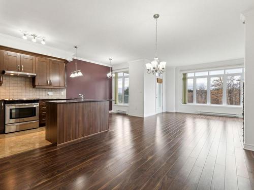 Vue d'ensemble - 408-1160 Ch. D'Aylmer, Gatineau (Aylmer), QC - Indoor Photo Showing Kitchen