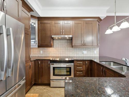 Cuisine - 408-1160 Ch. D'Aylmer, Gatineau (Aylmer), QC - Indoor Photo Showing Kitchen With Double Sink With Upgraded Kitchen