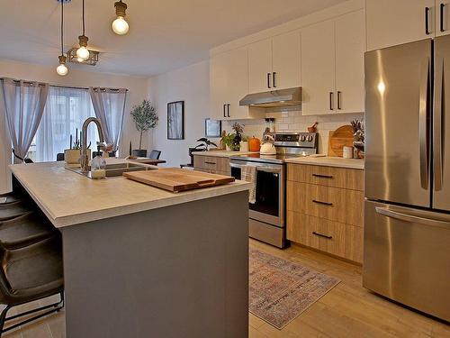 Cuisine - 1626 Rue Yvon-Bibeau, Sherbrooke (Brompton/Rock Forest/Saint-Élie/Deauville), QC - Indoor Photo Showing Kitchen With Double Sink