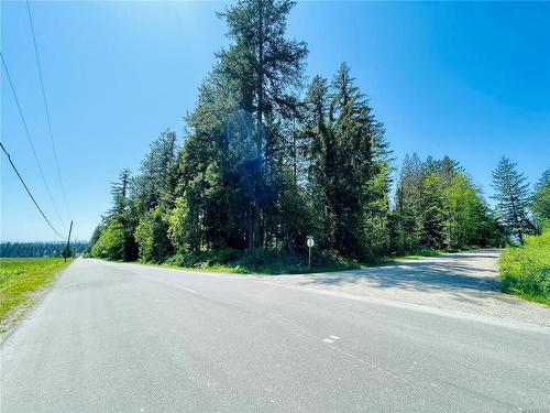 Lot 1 Somers Rd, Port Alberni, BC 