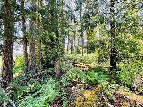 Lot 1 Somers Rd, Port Alberni, BC 