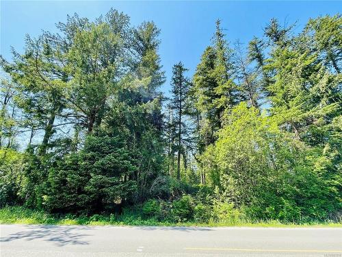 Lot 1 Somers Rd, Port Alberni, BC 