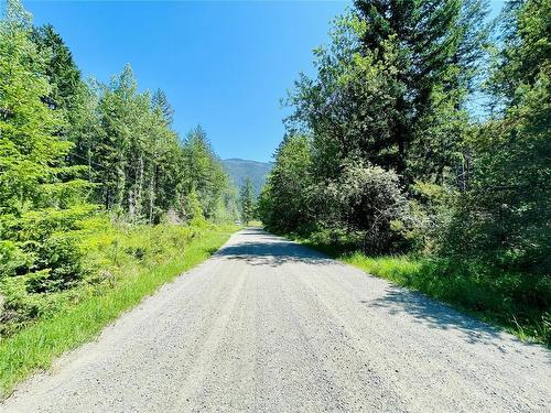 Lot 1 Somers Rd, Port Alberni, BC 