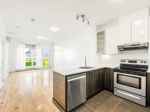 Kitchen - 405-440 Rue De La Gauchetière E., Montréal (Ville-Marie), QC - Indoor Photo Showing Kitchen With Upgraded Kitchen