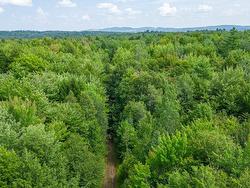 Wooded area - 