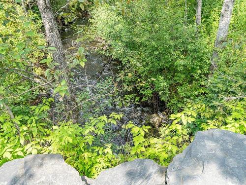 Wooded area - 2295 Ch. St-Roch N., Sherbrooke (Brompton/Rock Forest/Saint-Élie/Deauville), QC - Outdoor