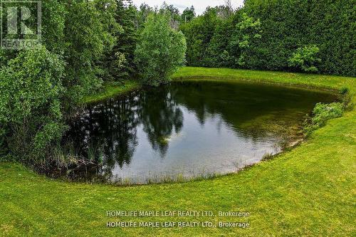 12629 Second Line, Milton, ON - Outdoor With Body Of Water With View