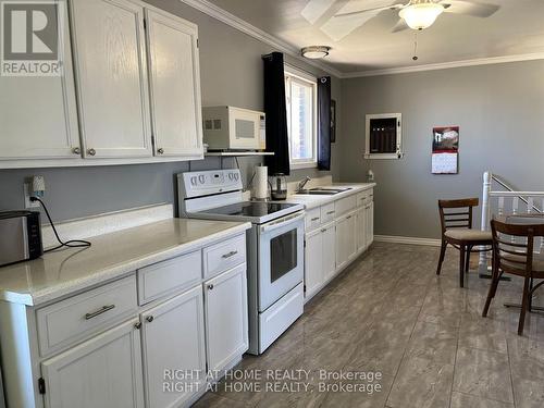 3369 County 36 Road, Kawartha Lakes (Bobcaygeon), ON - Indoor Photo Showing Kitchen With Double Sink