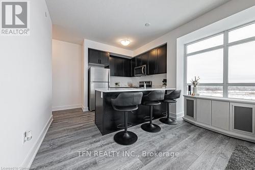 302 - 450 Dundas Street E, Hamilton, ON - Indoor Photo Showing Kitchen