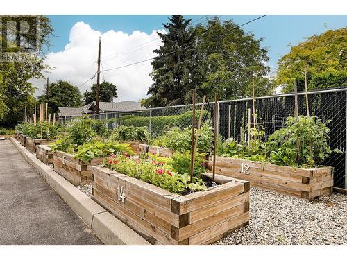 Community Garden (Sign up Required) - 1045 Sutherland Avenue Unit# 302, Kelowna, BC - Outdoor