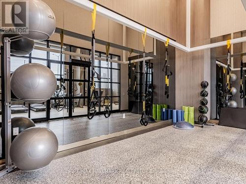 815 - 395 Dundas Street W, Oakville, ON - Indoor Photo Showing Gym Room