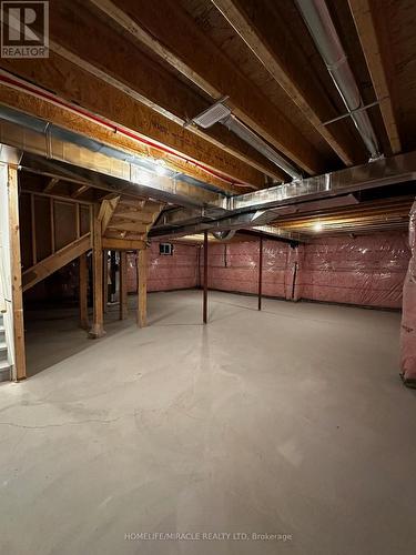 126 Petal Avenue, East Gwillimbury, ON - Indoor Photo Showing Basement