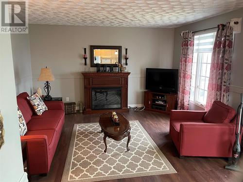 10 Water Front Road, Roberts Arm, NL - Indoor Photo Showing Living Room With Fireplace