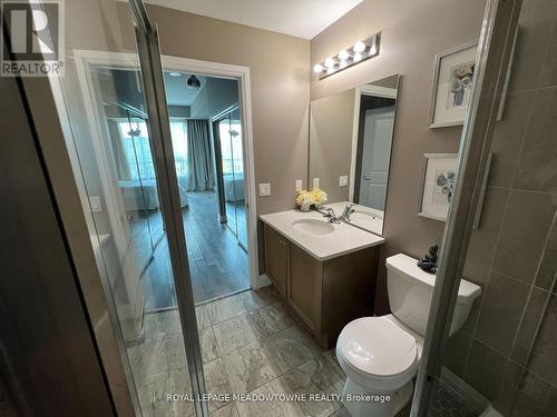 206 - 65 Yorkland Boulevard, Brampton, ON - Indoor Photo Showing Bathroom