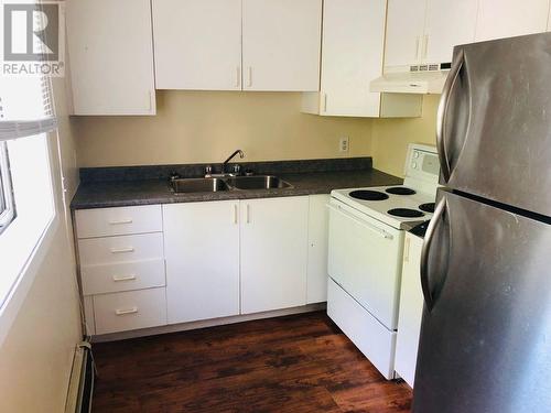 332 Burton Avenue, Sudbury, ON - Indoor Photo Showing Kitchen With Double Sink