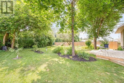 32 Melrose Avenue, Leamington, ON - Outdoor