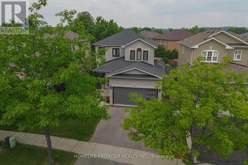 6 Raintree Crescent, Richmond Hill, ON - Outdoor