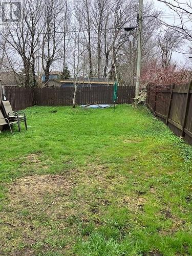 60 Cashin Avenue, St. John'S, NL - Outdoor With Backyard