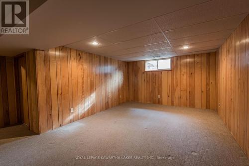 19 Wilson Avenue, Kawartha Lakes (Lindsay), ON - Indoor Photo Showing Basement