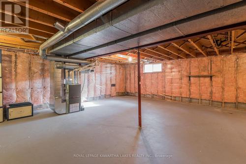 19 Wilson Avenue, Kawartha Lakes (Lindsay), ON - Indoor Photo Showing Basement