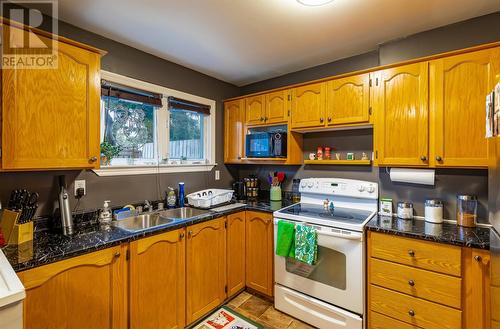 46 Eastaff Street, St. John'S, NL - Indoor Photo Showing Kitchen With Double Sink