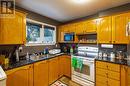 46 Eastaff Street, St. John'S, NL  - Indoor Photo Showing Kitchen With Double Sink 