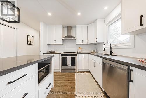 75 Graystone Drive, Hamilton, ON - Indoor Photo Showing Kitchen With Double Sink With Upgraded Kitchen