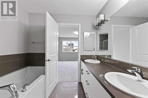 Ensuite Bath - 76 Skyview Point Crescent Ne, Calgary, AB 