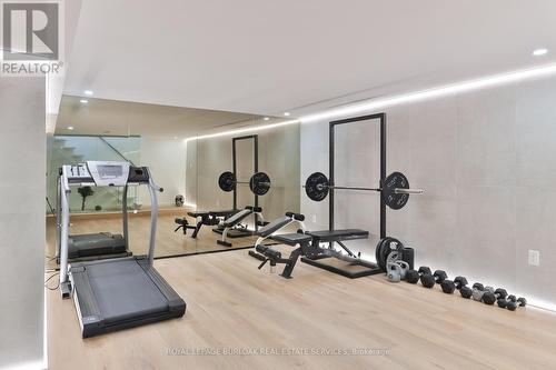 370 Goodram Drive, Burlington, ON - Indoor Photo Showing Gym Room