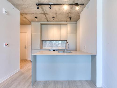 Kitchen - 808-3045 Boul. De L'Assomption, Montréal (Mercier/Hochelaga-Maisonneuve), QC - Indoor Photo Showing Kitchen With Double Sink